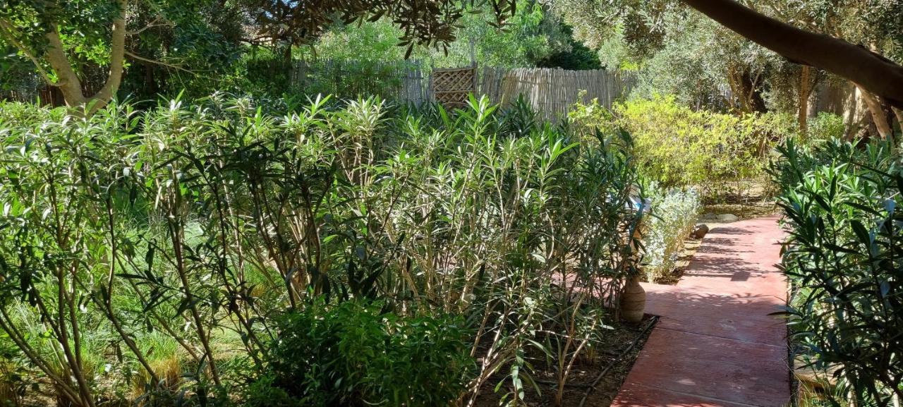 Les Trois Paons Bed & Breakfast Taroudant Ngoại thất bức ảnh