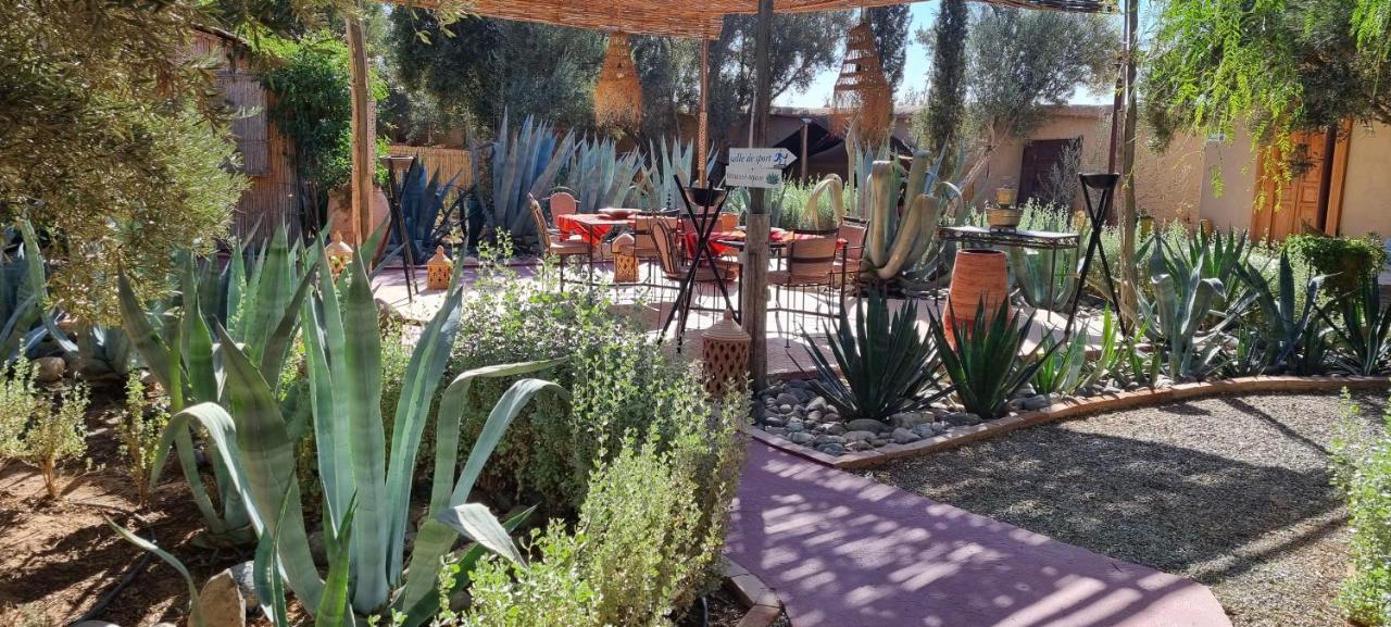 Les Trois Paons Bed & Breakfast Taroudant Ngoại thất bức ảnh