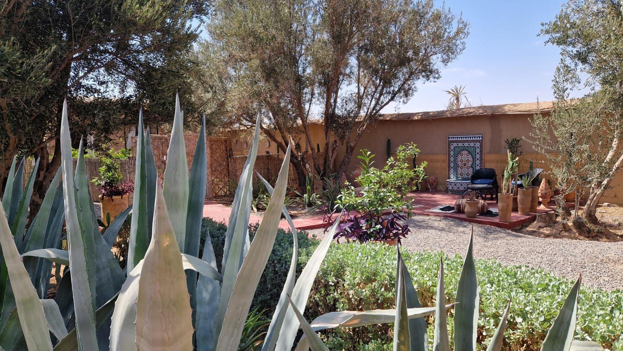 Les Trois Paons Bed & Breakfast Taroudant Ngoại thất bức ảnh